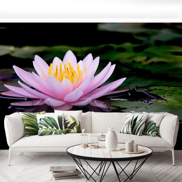 Fototapet roz Lotus