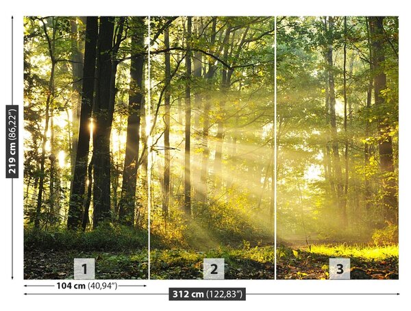 Fototapet Pădure toamna