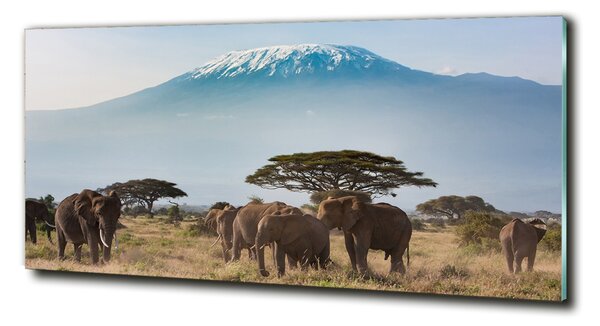 Tablou din Sticlă elefanți Kilimanjaro