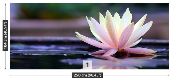 Fototapet Lotus