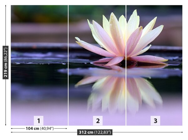 Fototapet Lotus