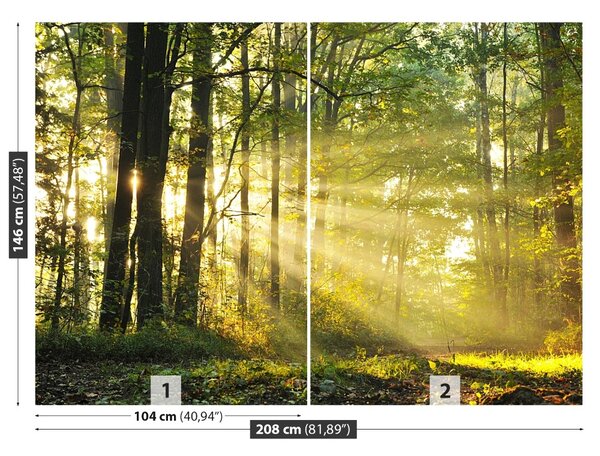 Fototapet Pădure toamna