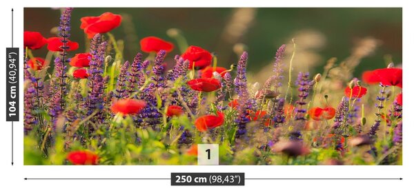 Fototapet Flori de câmp