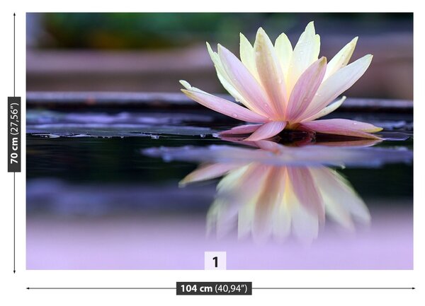 Fototapet Lotus