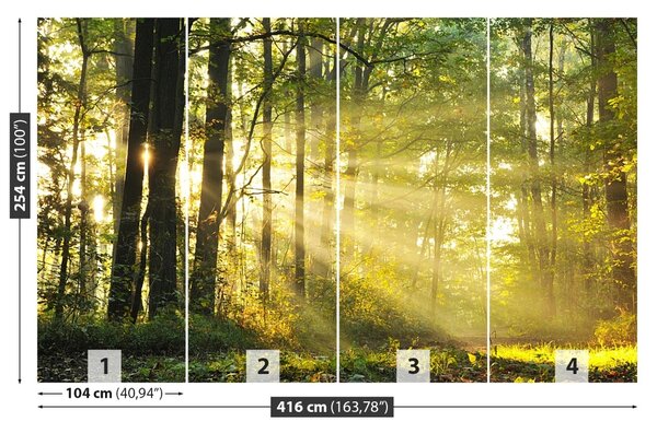 Fototapet Pădure toamna