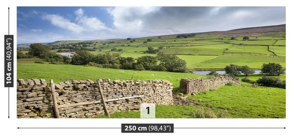Fototapet Yorkshire Valley