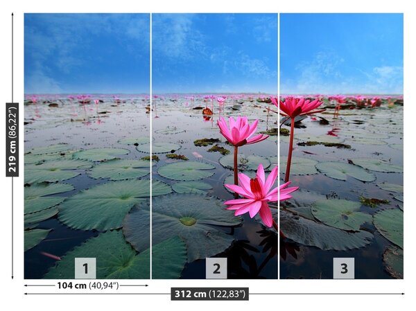 Fototapet Floare de lotus