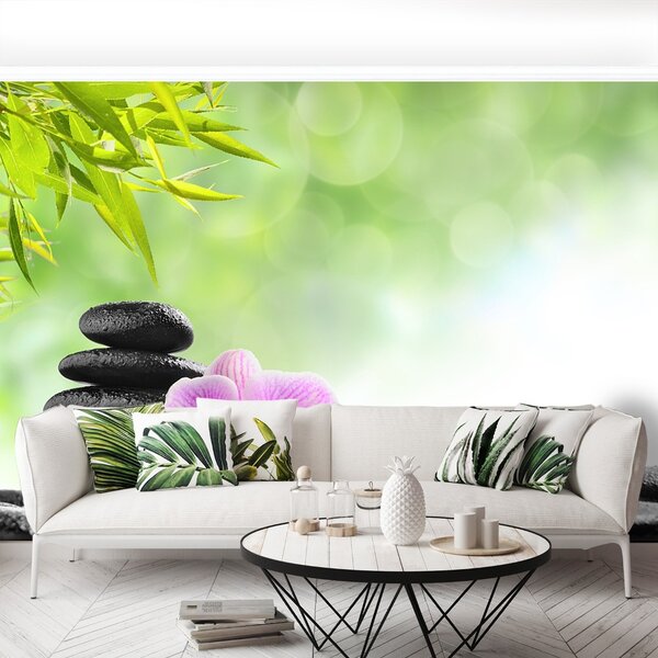 Fototapet Orchid Stones