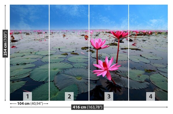 Fototapet Floare de lotus