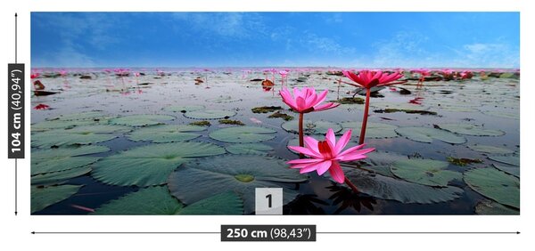 Fototapet Floare de lotus