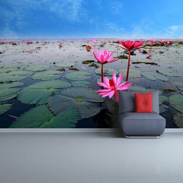 Fototapet Floare de lotus