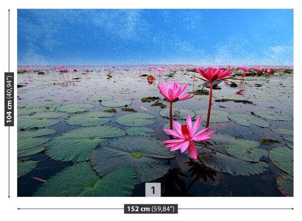 Fototapet Floare de lotus