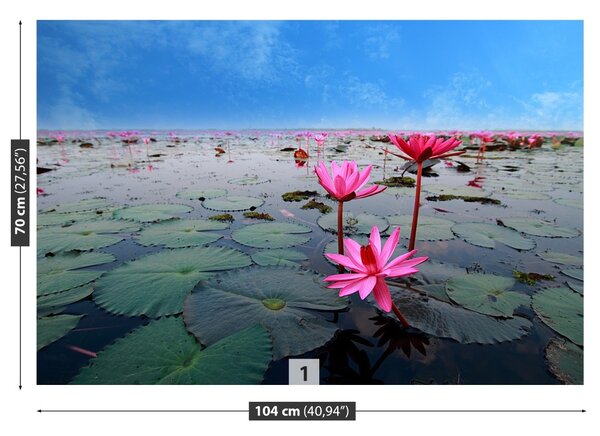 Fototapet Floare de lotus