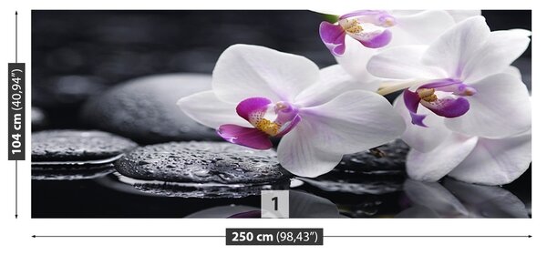 Fototapet Orhidee