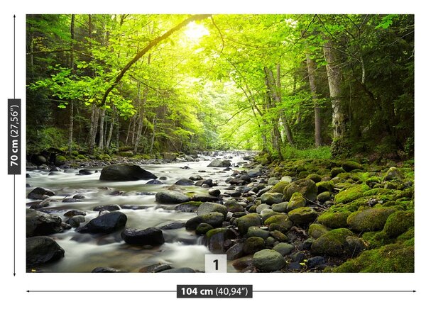 Fototapet Mountain River