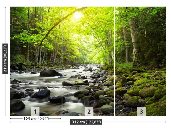 Fototapet Mountain River