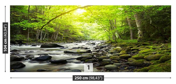 Fototapet Mountain River