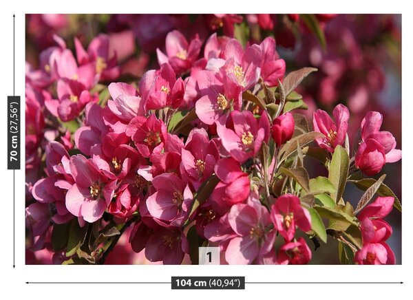 Fototapet Flori de cireș