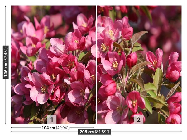 Fototapet Flori de cireș
