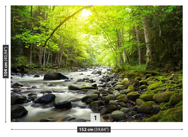 Fototapet Mountain River