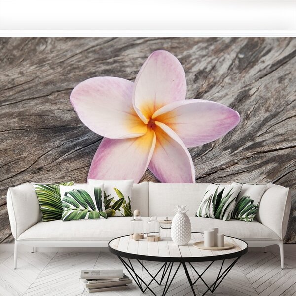 Fototapet frangipani din lemn