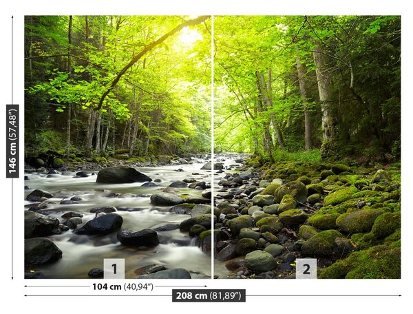 Fototapet Mountain River