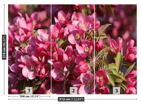 Fototapet Flori de cireș