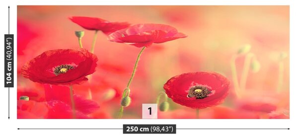 Fototapet Red Maci