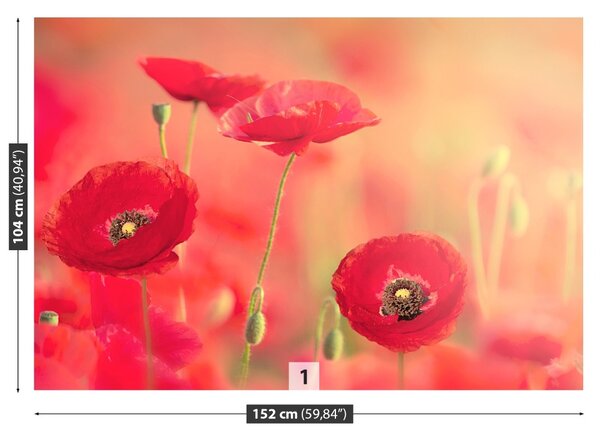 Fototapet Red Maci