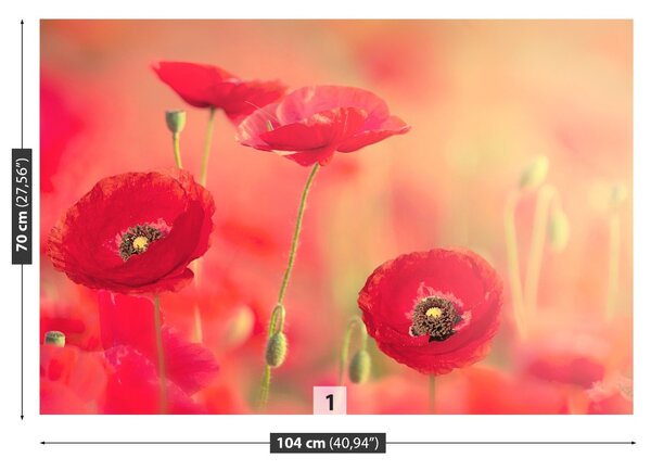 Fototapet Red Maci