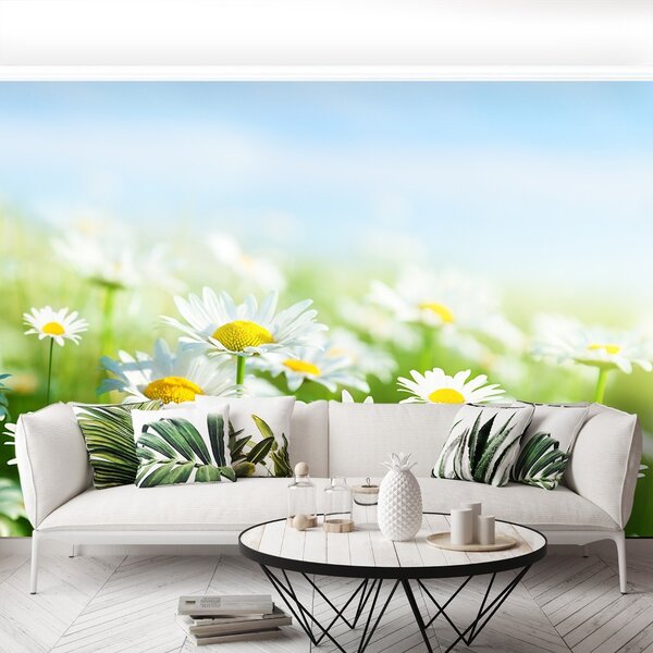 Fototapet Green Daisy