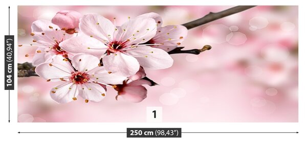 Fototapet Floare roz