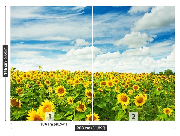 Fototapet Domeniu de Sunflowers
