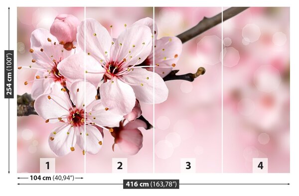 Fototapet Floare roz