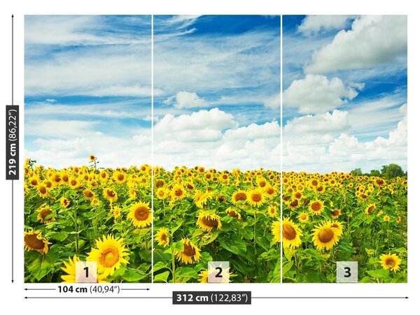 Fototapet Domeniu de Sunflowers