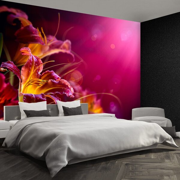 Fototapet Purple Lily