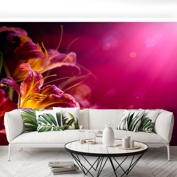 Fototapet Purple Lily