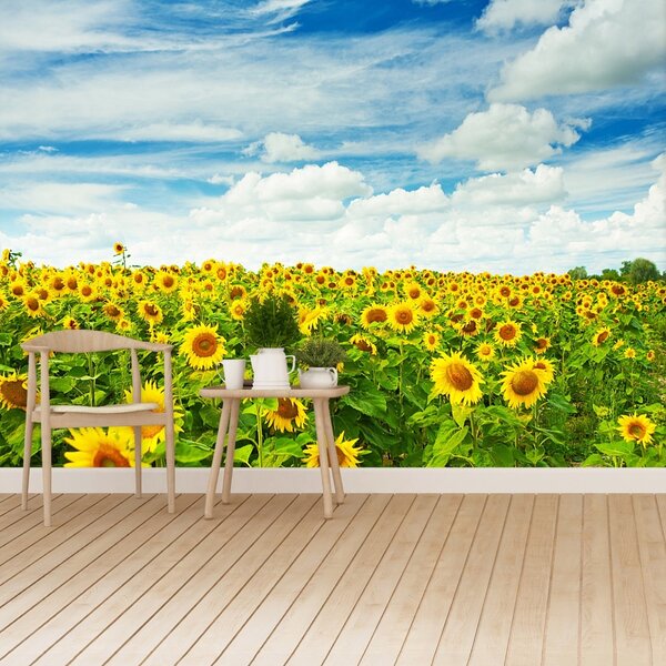 Fototapet Domeniu de Sunflowers