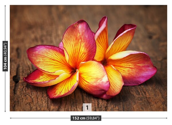 Fototapet plumeria din lemn
