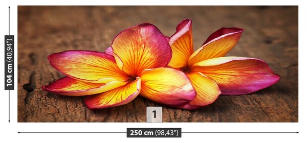 Fototapet plumeria din lemn