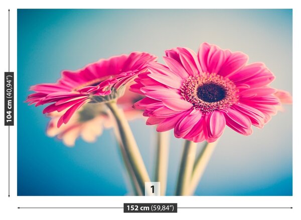 Fototapet Flori roz
