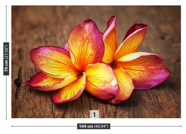 Fototapet plumeria din lemn