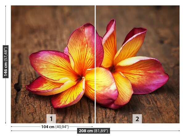 Fototapet plumeria din lemn