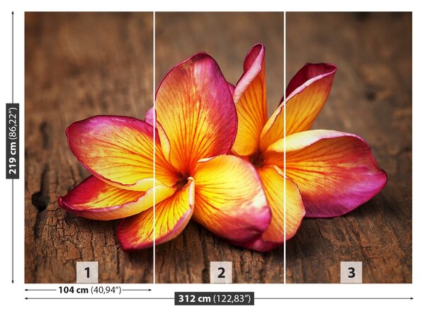 Fototapet plumeria din lemn