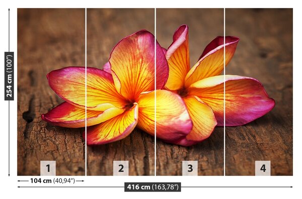 Fototapet plumeria din lemn