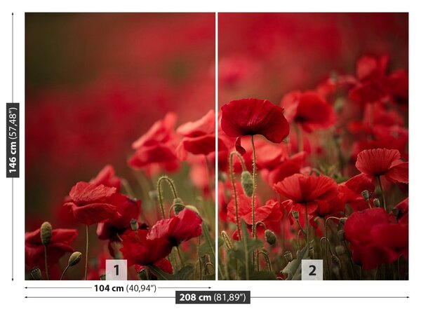 Fototapet Flori de mac