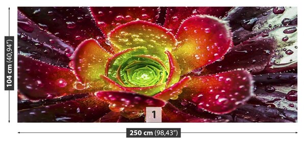 Fototapet Floare rosie