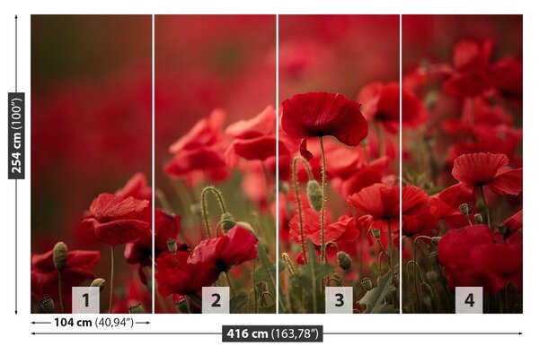 Fototapet Flori de mac