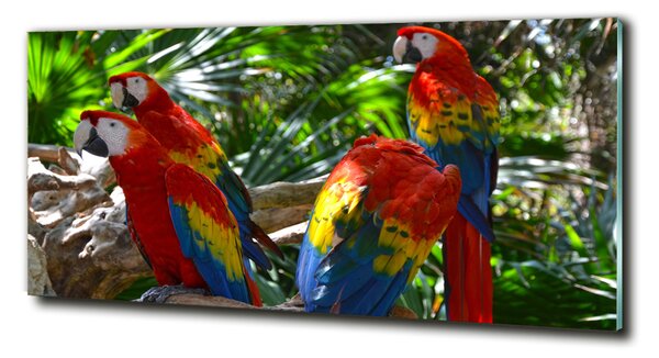 Tablou Printat Pe Sticlă papagali Macaws