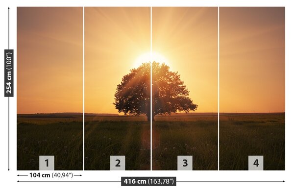 Fototapet Arborele Sunrise